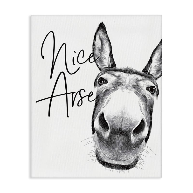 Stupell Industries Animal Humor Nice Arse Donkey Bathroom Phrase, Designed by Lettered and Lined Wall Art, 16x20 - Image 1